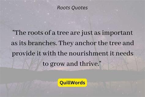 100 Best Don't Forget Your Roots Quotes - QuillWords