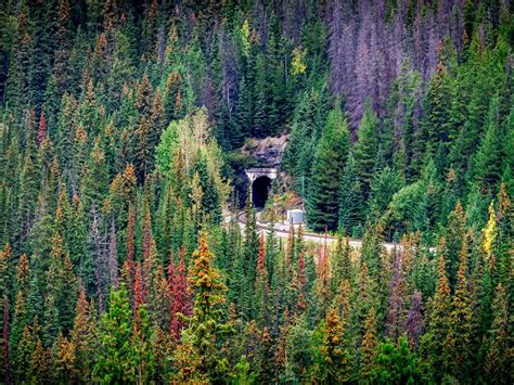 5 Stunning Sights in the Canadian Rockies You Can Only See by Train