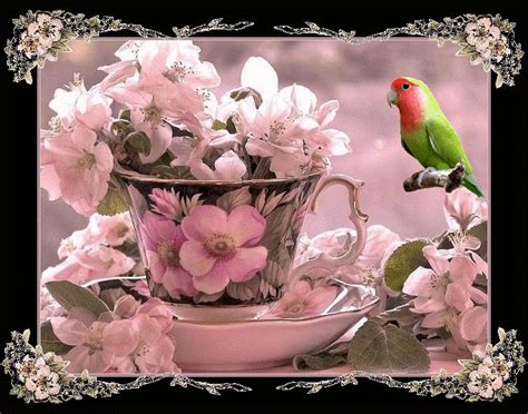 belle image Bird Gif, Tea Cups, Tableware, Painting, Image, Ruby, Birds, Google, Wine Bottle Art