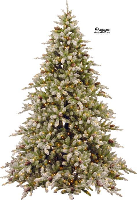 Christmas Tree PNG Transparent Images | PNG All