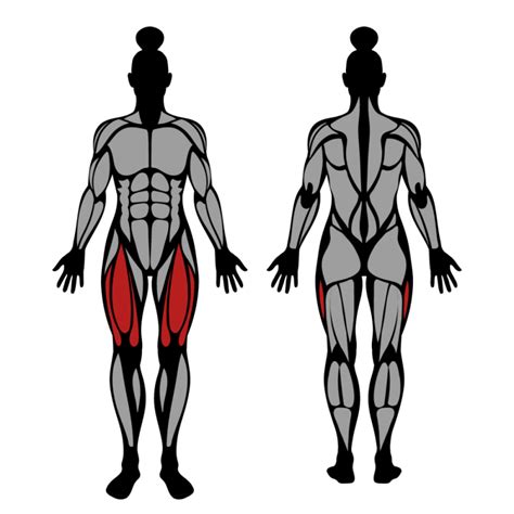 Leg Extension: Muscles Worked & Technique – StrengthLog