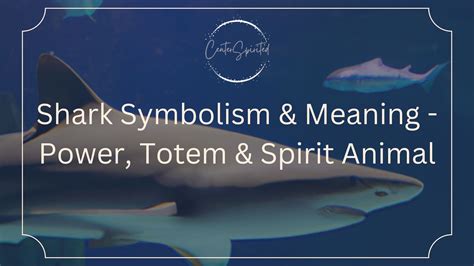 Shark Symbolism & Meaning - Power, Totem & Spirit Animal