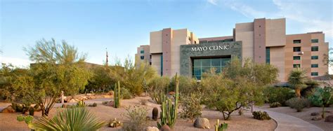 Our Projects | The Mayo Clinic of AZ | Cabling & More