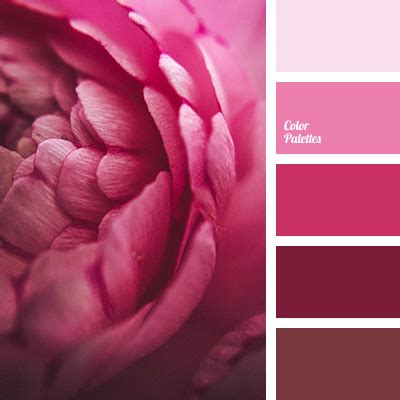 rose color | Color Palette Ideas