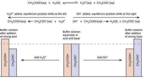 Buffers | Chemistry for Majors