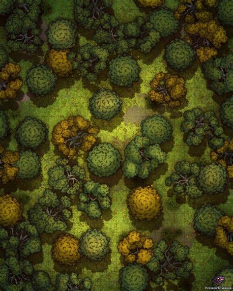 Forest Wilderness Battle Map 24x30 : r/battlemaps