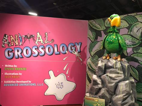 Fort Worth Museum Opens Grossology + Animal Grossology Exhibit - Life. Family. Joy