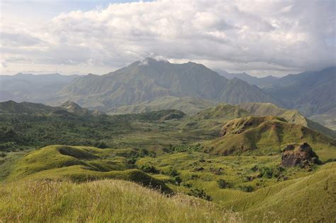 Conservation Progress for the Philippine Endemic Tamaraw — Reverse the Red