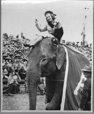 The story behind Alabama’s elephant mascot - Yahoo Sports