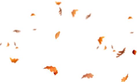 download falling leaves png images - flying autumn leaf png [FREE] | Fall leaves png, Autumn ...