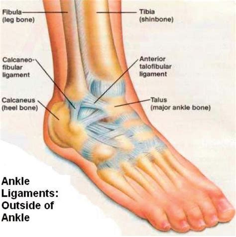 Pin on Fractured ankle