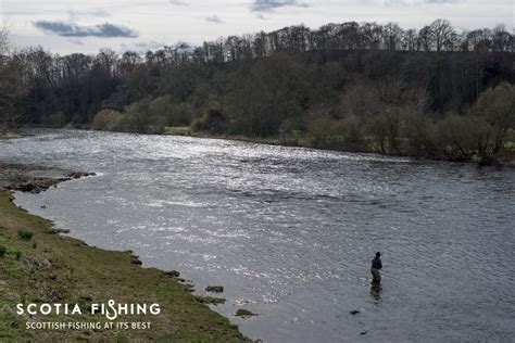 River Tweed Fishing Guide and Fly Fishing Instructor