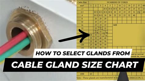 Pvc Cable Gland Size Chart Cheapest Buy | eccosis.com.co