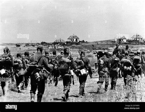 German soldiers during the Battle of Kursk, 1943 Stock Photo: 68839790 - Alamy