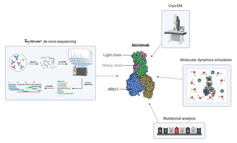 Cryo-EM Structure of the αIIbβ3-Abciximab Complex