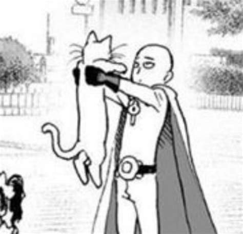 Opm Manga, Manga Anime, Manga Art, Anime Art, Silly Cats Pictures, Manga Pictures, Really Funny ...