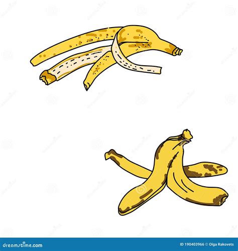 Banana Peel Drawing