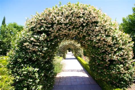 Gardens of the World in Thousand Oaks - California Through My Lens