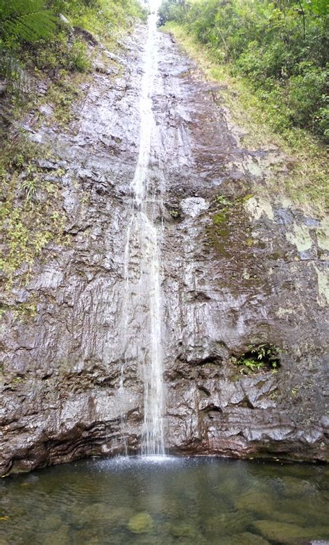 Oahu Hikes: Manoa Falls and Koko Head - Munchie Musings