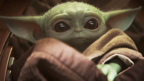 Everything We Know About Yoda's Species