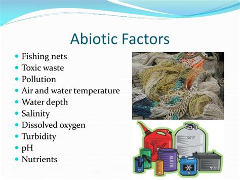 PPT - Estuary Biome PowerPoint Presentation - ID:1757950