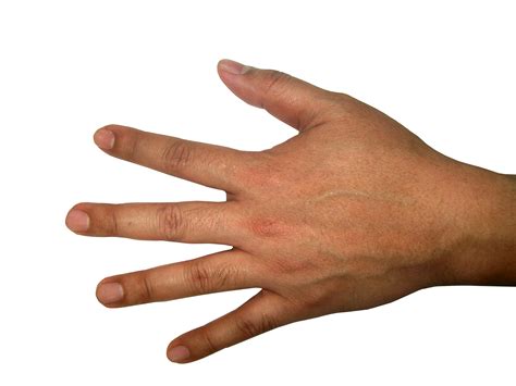 Hands png photo #44741 - Free Icons and PNG Backgrounds