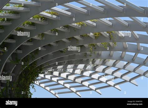 Canopy Structure High Resolution Stock Photography and Images - Alamy