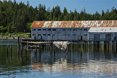 Old cannery Photograph by Inge Riis McDonald | Fine Art America