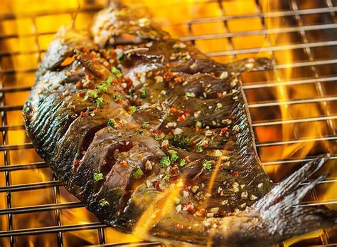 Useful Techniques in Grilling Fish | Home Tips Plus