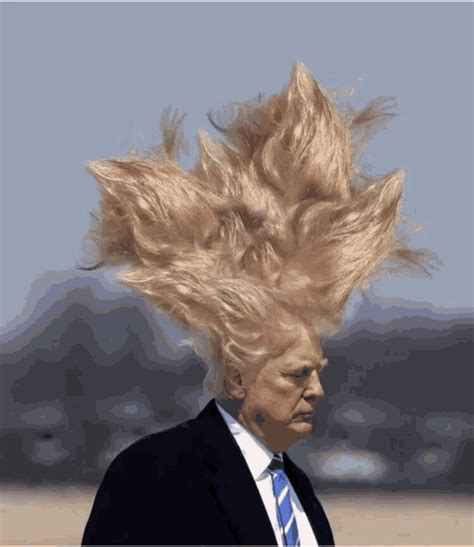 Donald Trump Hair GIF - Donald Trump Hair Flaming - Discover & Share GIFs