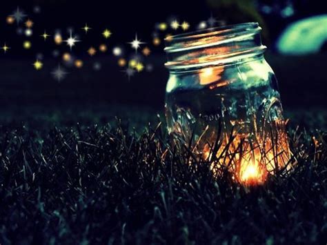 Fireflies At Night Pictures, Photos, and Images for Facebook, Tumblr ...