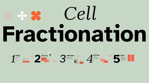 Cell Fractionation by Isnack on Prezi