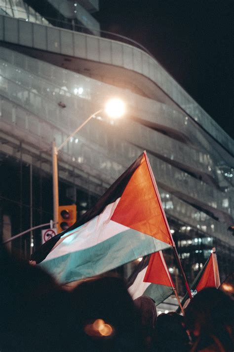 People Holding Palestine Flags on a Demonstration · Free Stock Photo