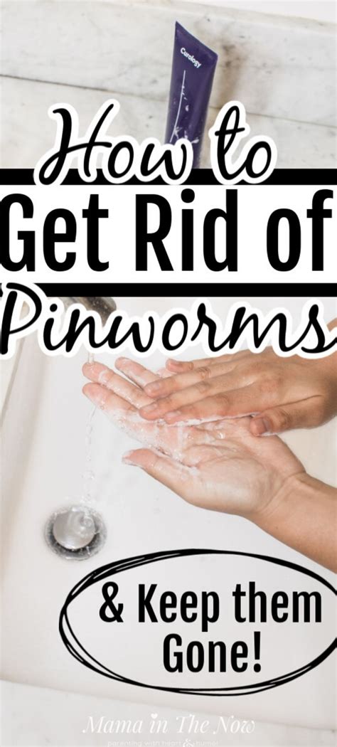 How to Treat Pinworms (Almost) Naturally - For Good | How to treat ...