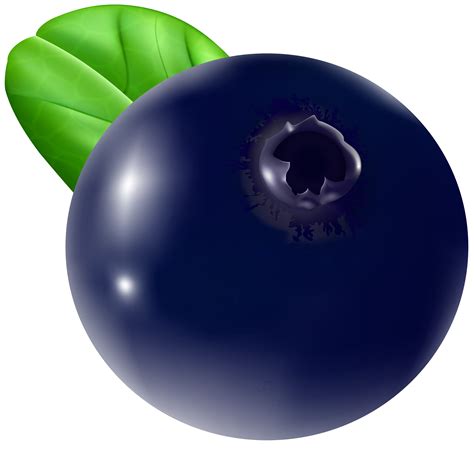 Free Blueberries Cliparts, Download Free Blueberries Cliparts png images, Free ClipArts on ...