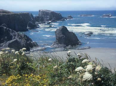 Hike Bandon's Beachfront Islands | Oregon.com