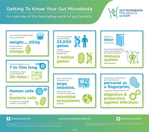 Getting to know your gut microbiota - Gut Microbiota for Health