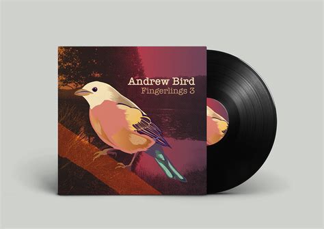 Andrew Bird Vinyl Record on Behance