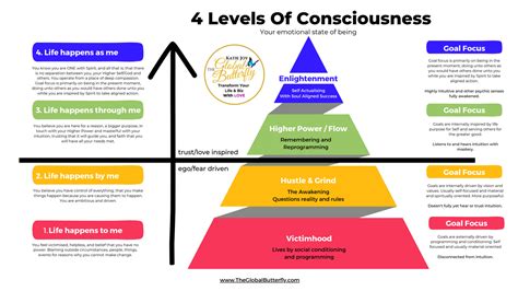 The Four Levels Of Consciousness Are Depicted In This - vrogue.co