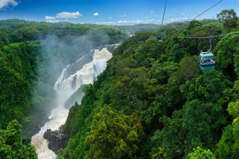 Opinion | What to do in Cairns – a weekend getaway to the Great Barrier ...