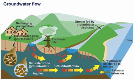 THE CYCLE - Groundwater Cycle