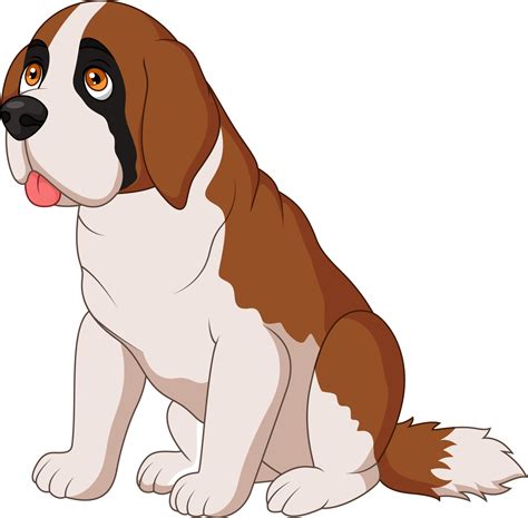 Saint Bernard dog breed 8733285 Vector Art at Vecteezy