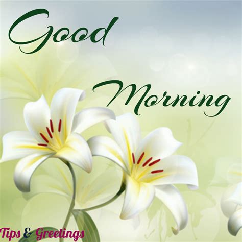 Good Morning GIFs & Images For Whatsapp & Facebook Message, Status & DP