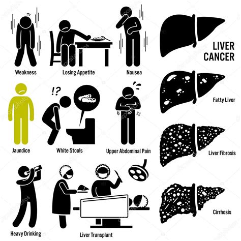 Liver Cancer Symptoms Causes Risk Factors Stick Figure Pictogram Icons ...