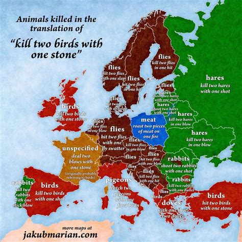 Mapped: How Europeans like to say "killing two birds with one stone" European Languages ...