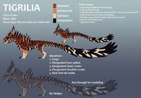 Tigrilia | Dragon Adventures Wiki | Fandom