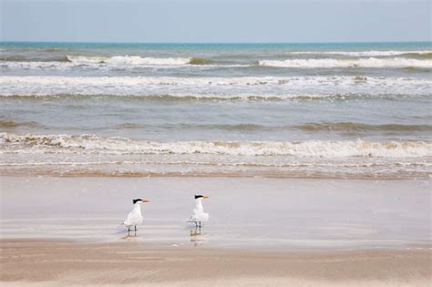 The 10 Best Beaches in Texas