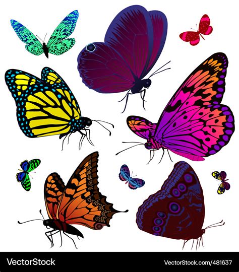 Butterfly tattoos Royalty Free Vector Image - VectorStock