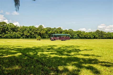 Charleston Tea Plantation | The Official Digital Guide to Charleston SC ...