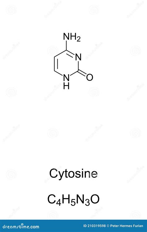 Cytosine, C, Cyt, Nucleobase, Chemical Formula and Skeletal Structure ...